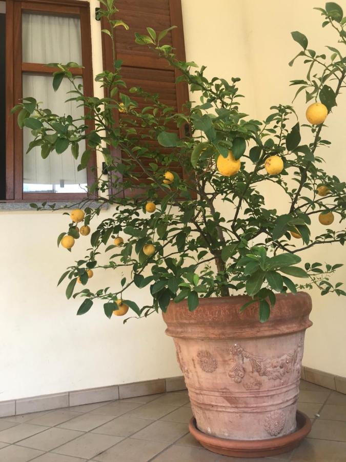 La Casa Del Melograno Apartment Alba  Ngoại thất bức ảnh